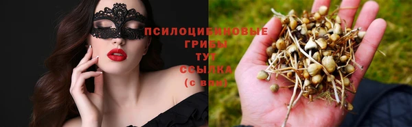 Альфа ПВП Алзамай