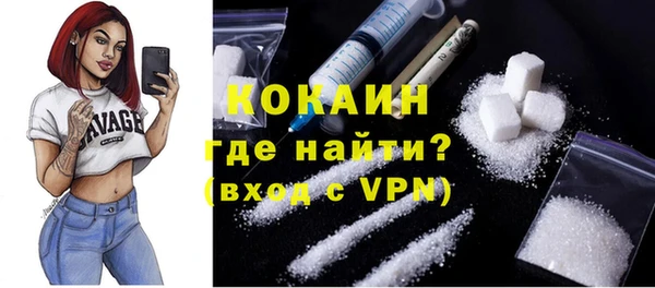 винт Абаза