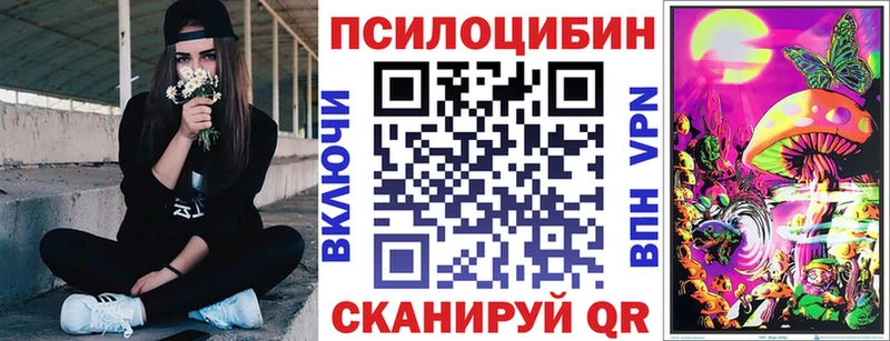 где можно купить   Темников  Галлюциногенные грибы ЛСД 